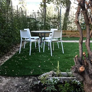https://nemos-home.gethaifahotels.com